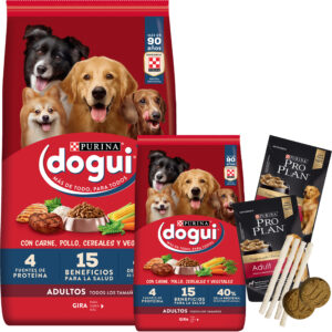 Dogui Perro Adulto 24 Kg (21 + 3)