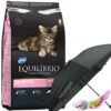 Equilibrio Gato Cachorro Kitten 7,5 Kg