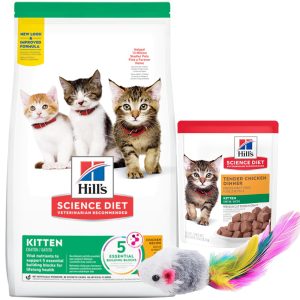 Hill's Gato Cachorro/Kitten 1,6 kg