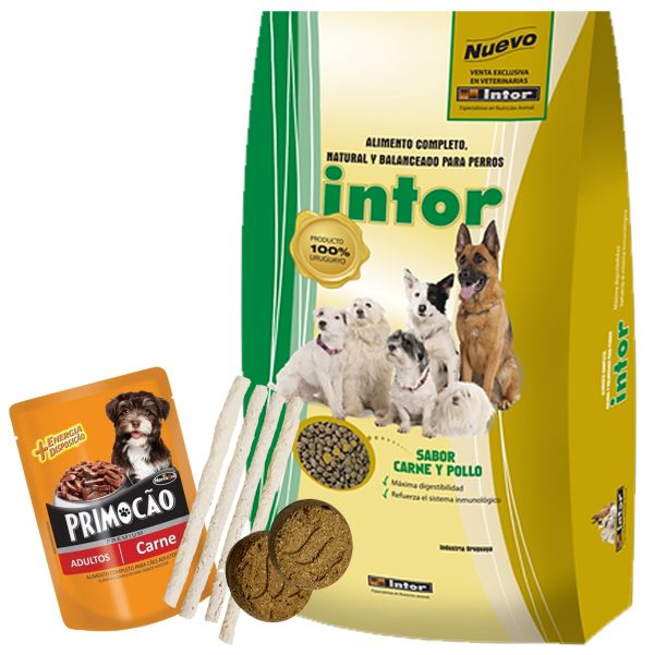 Intor Perro Adulto 20 Kg