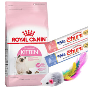 Royal Canin Gato Cachorro Kitten 1,5 Kg