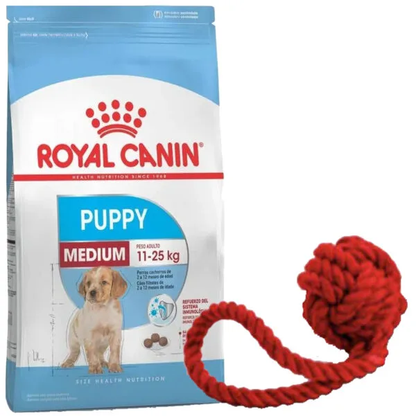 Royal Canin Medium Junior 3 Kg