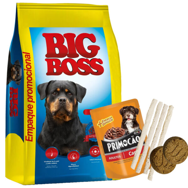 Big Boss Perro Adulto 24 Kg (22 + 2)