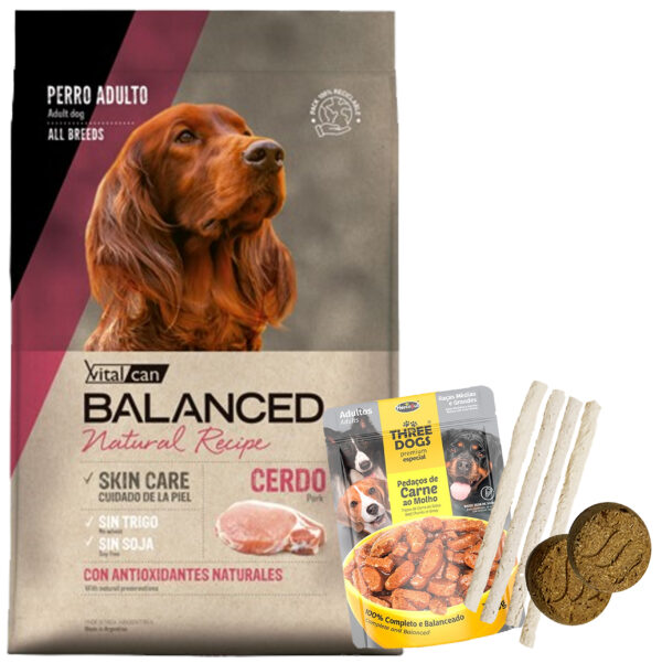 Balanced Natural Recipe Perro Adulto Cerdo Y Arroz 15 Kg