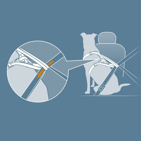 Arnés Para Perro Kurgo Impact / Talle M Negro - Imagen 7
