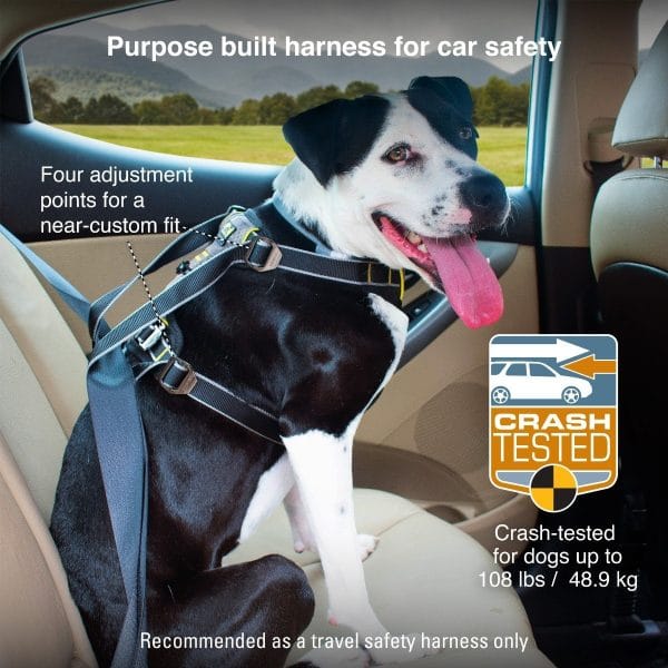 Arnés Para Perro Kurgo Impact / Talle M Negro - Imagen 5