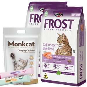 Frost Cat Gato Adulto Indoor