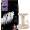 Three Cats Super Premium Gato Cachorro / Kitten 10,1 Kg