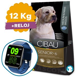 Cibau Senior Perro Raza Mediana y Grande 12 Kg