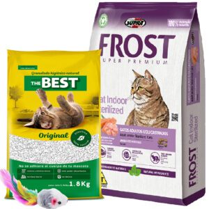 Frost Cat Gato Adulto Indoor