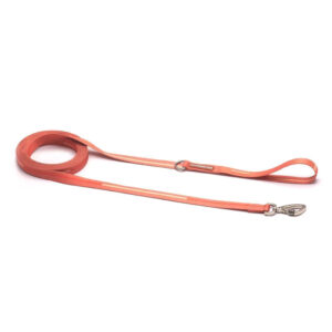 Correa Para Perro Paseo y Entrenamiento Cachorreiros / 5 Mts