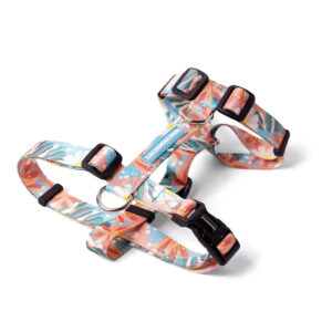 Arnés Para Perro Cachorreiros / Modelo H / Diseño Floreado