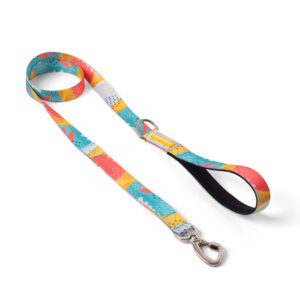 Correa Para Perro Cachorreiros / Paseo - Talle S - P