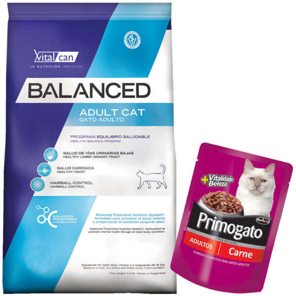 Balanced Gato Adulto 2 Kg