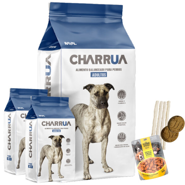 Charrua Perro Adulto Todas Las Razas 22 Kg