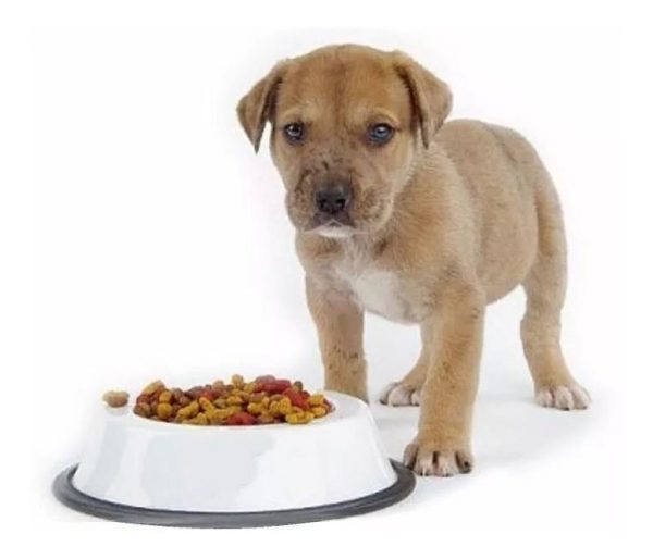 Mundo Mascota Comida Perro Mejor Precio