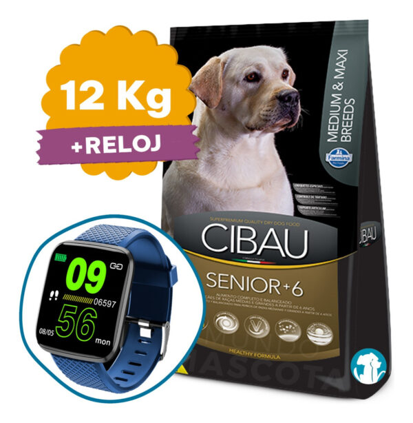 Cibau Senior Perro Raza Mediana y Grande 12 Kg