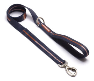 Correa Para Perro Cachorreiros / Paseo / Diseño Bob e Marley