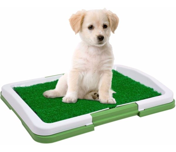 Bandeja Sanitaria Perro Mascota Puppy Potty Pad / 12 Cuotas
