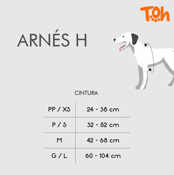 Arnés Para Perro Toh / Modelo H + Correa – Talle M - Imagen 2