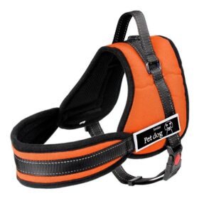 Arnés de Entrenamiento y Paseo Sportsdog – Talle XL
