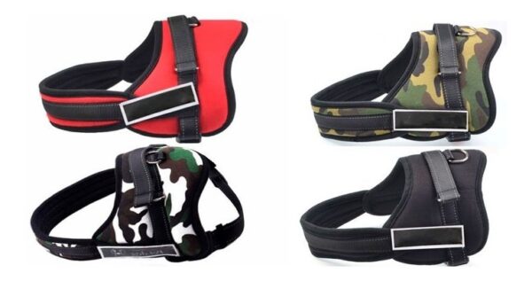 Arnés De Entrenamiento Y Paseo Sportsdog – Talle XXL - Imagen 2