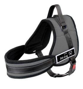 Arnés de Entrenamiento y Paseo Sportsdog - Talle L