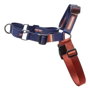 Arnés Para Perro Cachorreiros / Modelo Anti Tirón / Diseño Bob e Marley