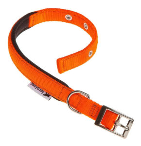 Collar Perro Ferplast Daytona Talle M
