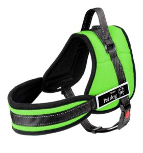 Arnés de Entrenamiento y Paseo Sportsdog - Talle L