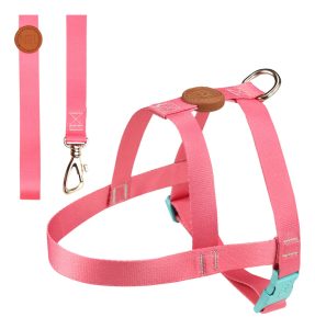 Arnés Para Perro Toh / Modelo Tradicional + Correa / Diseño Fiji