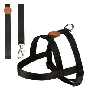 Arnés Para Perro Toh / Modelo Tradicional + Correa / Diseño Negro