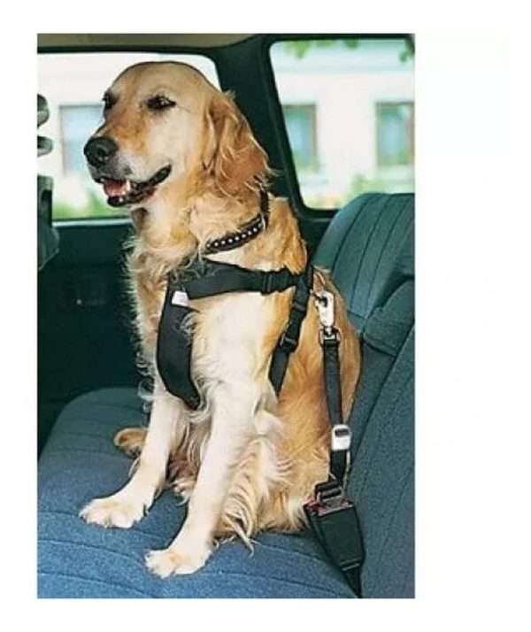 Arnés De Seguridad Y Paseo Trixie Perro Talle L / 12 Cuotas