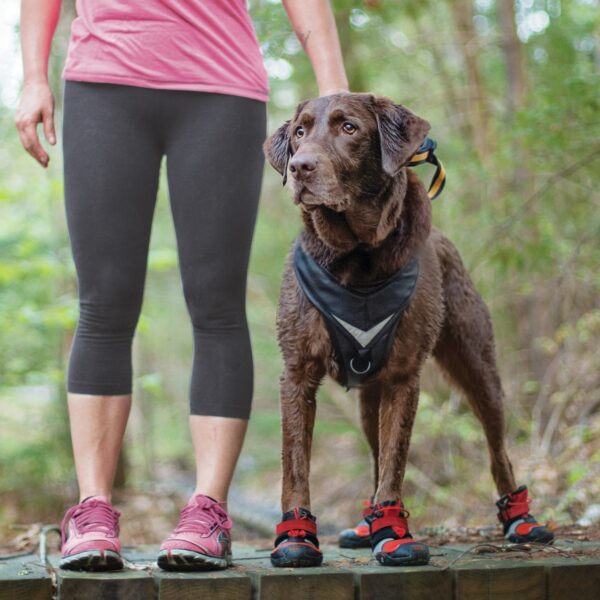 Zapato Para Perros Kurgo Blaze Cross / Talle L