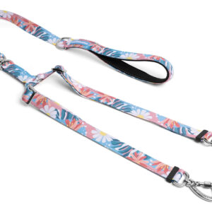 Correa Para Perro Cachorreiros / Paseo Doble Talle G