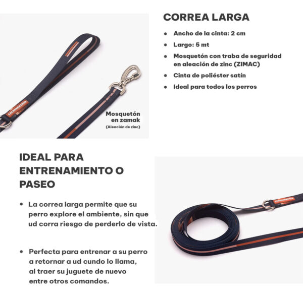 Correa Para Perro Paseo y Entrenamiento Cachorreiros / 5 Mts - Imagen 2