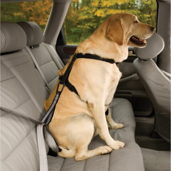 Cinturón De Seguridad Para Perros Kurgo - Imagen 3