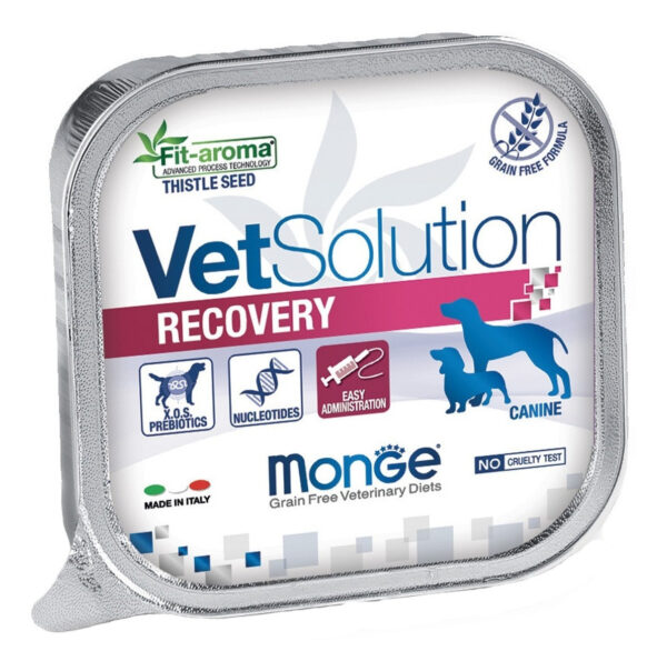 Paté Perro Vet Solution Recovery 150 Gr