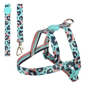 Arnés Para Perro Toh / Modelo Tradicional + Correa / Diseño Savana