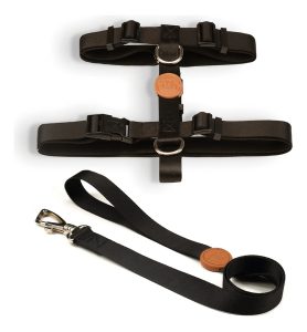 Arnés Para Perro Toh / Modelo H + Correa / Diseño Negro