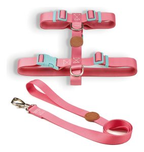 Arnés Para Perro Toh / Modelo H + Correa / Diseño Fiji