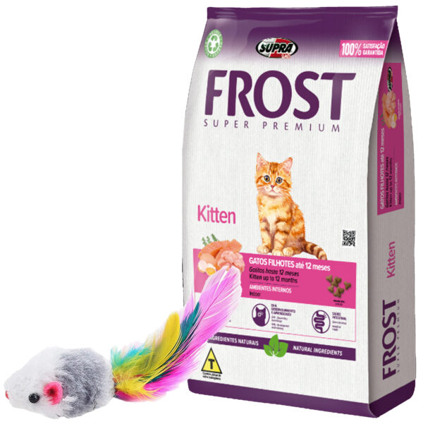 Frost Cat Gato Cachorro Kitten (gatitos) 1,5 Kg