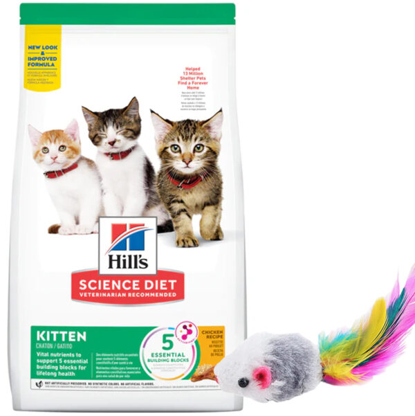 Hills Gato Cachorro Kitten 1,6 Kg