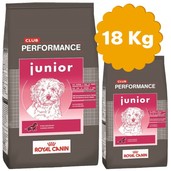 Royal Canin Club Performance Junior Perro Cachorro 18 Kg (15 + 3)