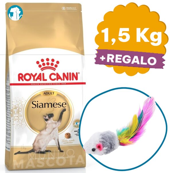 Royal Canin Siamese Gato Adulto 1,5 Kg