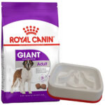 Royal Canin Giant Perro Adulto Raza Gigante 15 Kg