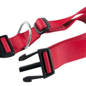 Collar Para Perro Ferplast Club C40/70 - 25mm Rojo