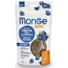 Monge Gift Meat Minis Gato Cachorro / Kitten