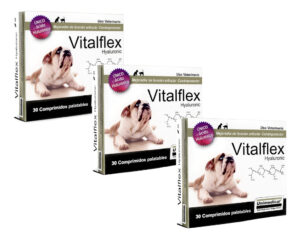 Vitalflex Hyaluronic Condroprotector 90 Comp