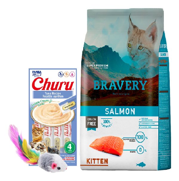 Bravery Kitten/Gatito Sabor Salmon 2kg